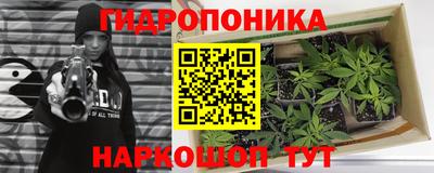 хмурый Малгобек