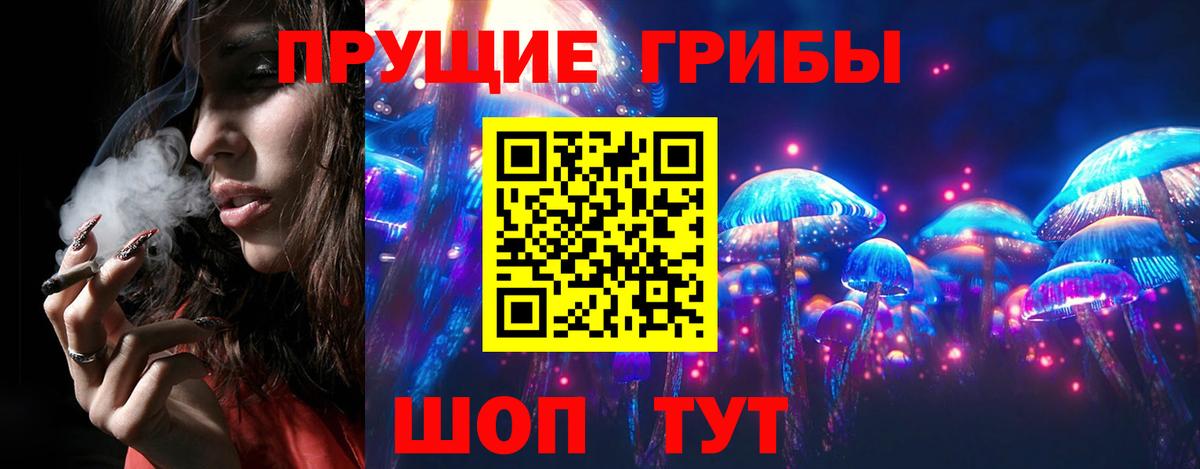 Псилоцибиновые грибы прущие грибы  Псилоцибиновые грибы Psilocybine cubensis  Грозный  как найти наркотики  Вход с VPN 